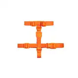 ZEEDOG NEOPRO TANGERINE H-HARNESS LARGE