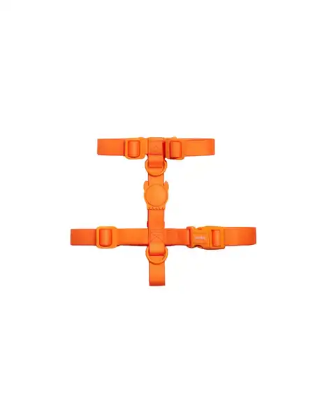 ZEEDOG NEOPRO TANGERINE H-HARNESS LARGE