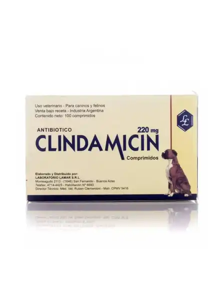 LAMAR CLINDAMICIN 220 MG GRANDE CAJA X100 COMP