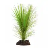 HAGEN FLUVAL PLANT GREEN PARROT'S