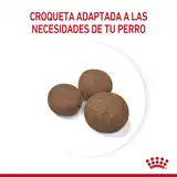 2427150G