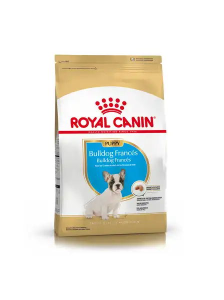 ROYAL BULLDOG FRANCES PUPPY 3KG