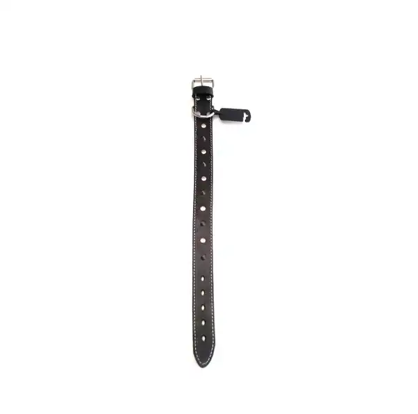 KIPPER COLLAR DE CUERO CON PUAS Nº2