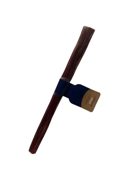 BRULER ESOPAGUS STICK LONG (UNIDAD)