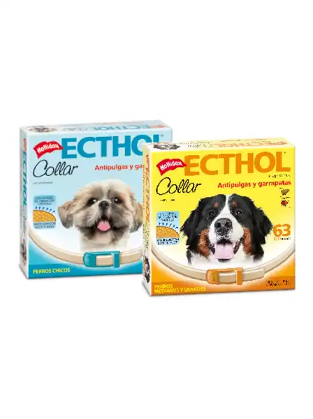 HOLLIDAY ECTHOL COLLAR PERROS CHICOS (40CM)