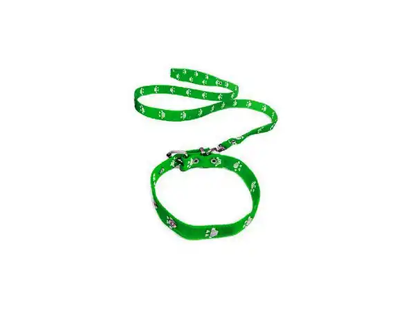 FAMILY PETS CONJUNTO COLLAR Y CORREA ESTAMPADA 30MM