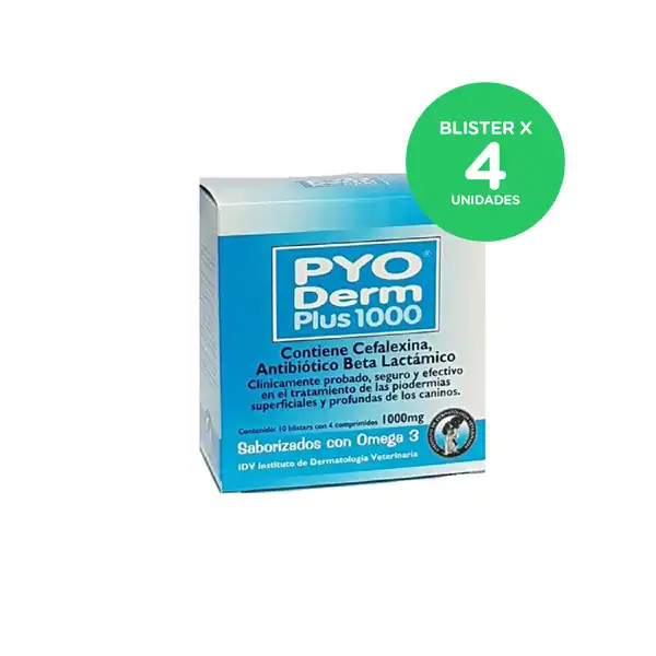 INST.DERMA. PYO DERM PLUS 1000 (BLISTER X 4 COMP) 
