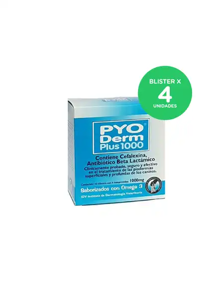 INST.DERMA. PYO DERM PLUS 1000 (BLISTER X 4 COMP) 