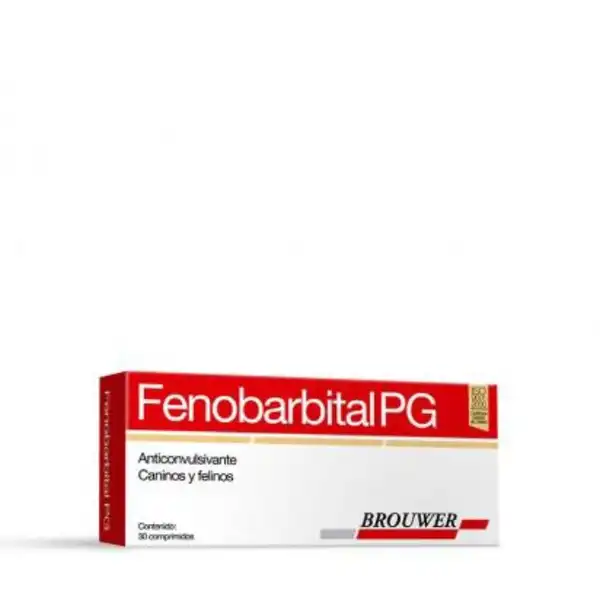 BROUWER FENOBARBITAL PG 40 X 30 COMP 