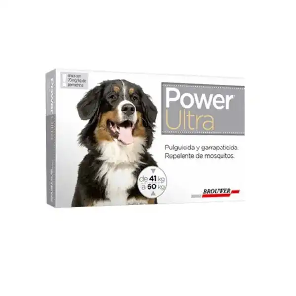 BROUWER POWER ULTRA HASTA 60KG 