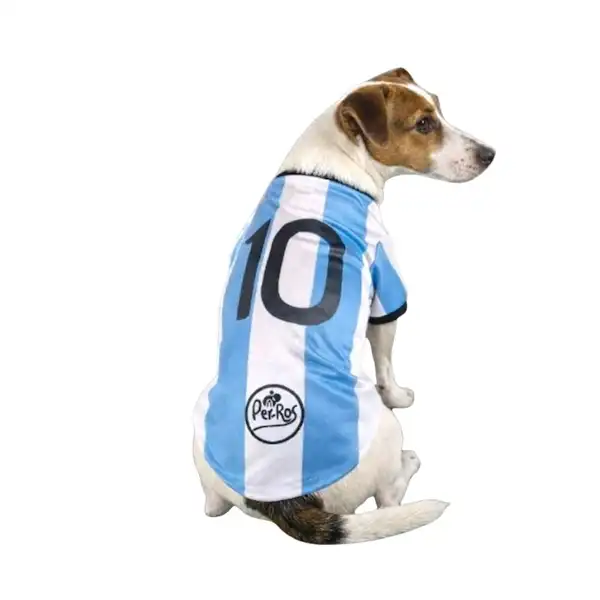 PER-ROS CAMISETA DE ARGENTINA Nº2 30 CM.- 