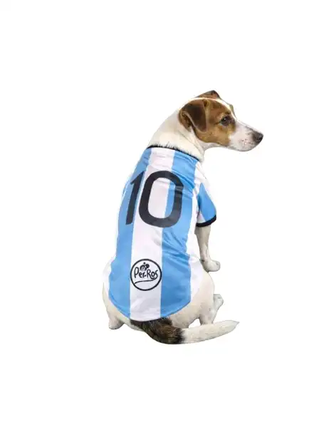 PER-ROS CAMISETA DE ARGENTINA Nº9 65 CM.- 