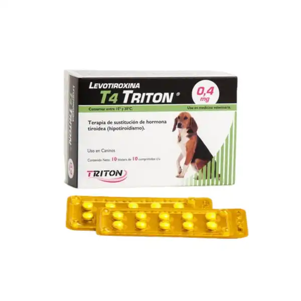 TRITON T 4 0.4 MG X 100 COMP. (BLISTER X 10 COMP)