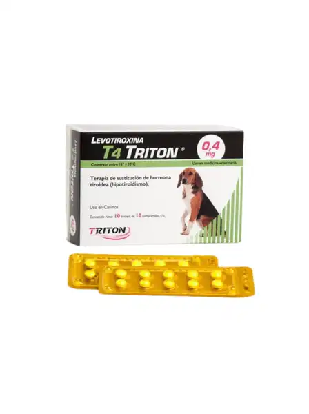 TRITON T 4 0.4 MG X 100 COMP. (BLISTER X 10 COMP)