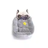 PER-ROS MOISES CARA PERRO GRIS CHICO