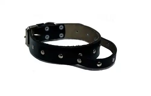 KIPPER COLLAR DE CUERO CON TACHAS C/MANIJA Nº7 