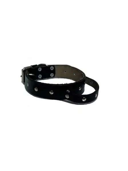 KIPPER COLLAR DE CUERO CON TACHAS C/MANIJA Nº7 