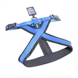 RASCALS DOG ARNES ACOLCHADO PREMIUM ANTI TIRON AZUL L/XL 2.5X70