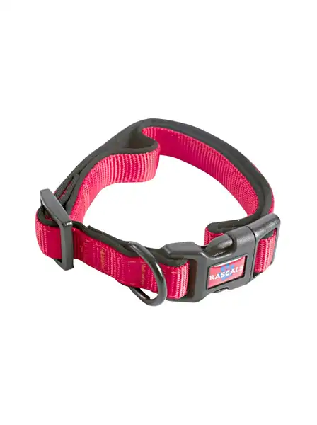 RASCALS DOG COLLAR ACOLCHONADO SBR PREMIUM ROJO M 2X35.5-51CM