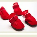 PER-ROS BOTA LINEA ECO IMPORTADA TAMAÑO S