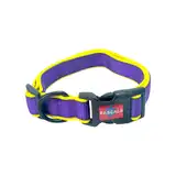 RASCALS DOG COLLAR ACOLCHONADO SBR PREMIUM VIOLETA L 2.5X41-66CM