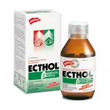 HOLLIDAY ECTHOL AMBIENTAL / PERROS X 100 CC