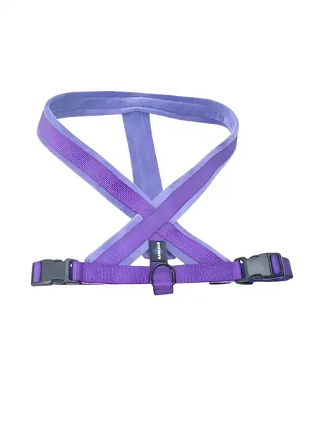 RASCALS DOG ARNES ACOLCHADO PREMIUM ANTI  TIRON  VIOLETA L/XL 2.5X70-100CM