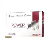 BROUWER POWER COMPRIMIDOS PERRO H 10KG / GATO H 6KG