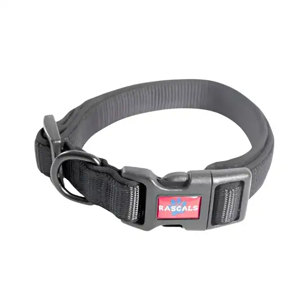 RASCALS DOG COLLAR ACOLCHONADO SBR PREMIUM NEGRO M 2X35.5-51CM