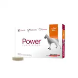 BROUWER POWER COMPRIMIDOS PERRO H 30KG