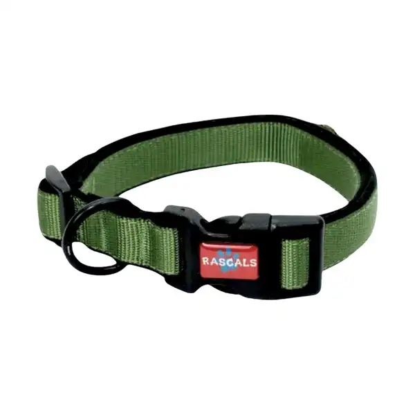 RASCALS DOG COLLAR ACOLCHONADO SBR PREMIUM VERDE L 2.5X41-66CM