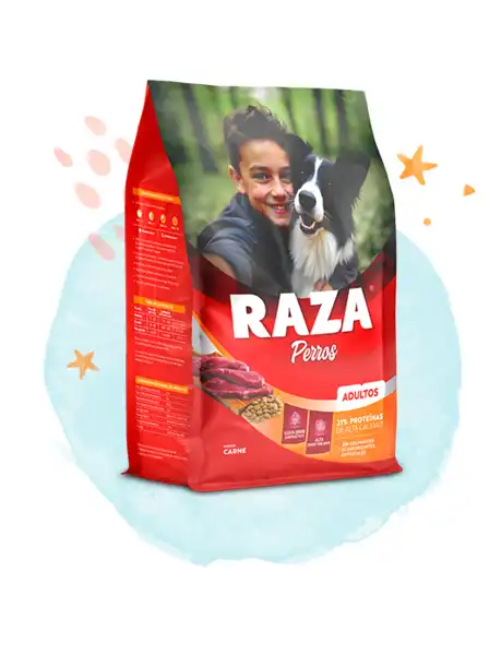RAZA PERROS ADULTOS CARNE 20KG