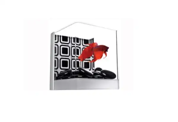 TETRA BETTA KIT CON GEMAS NEGRAS