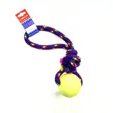 PETSPLAST PELOTA DE GOMA GRANDE SOGA ALPINA 15MMX35CM S405 