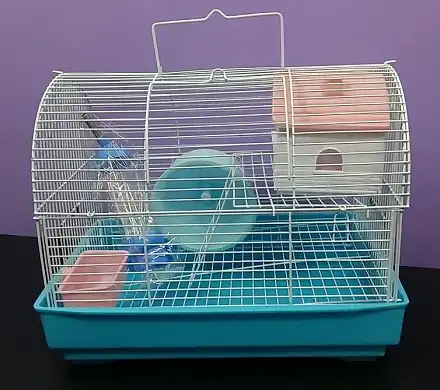 IMPORTADO Hamstera Baul 34x23x29