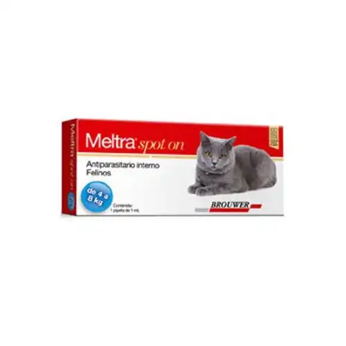 BROUWER MELTRA SPOT ON GATOS 4 A 8 KG