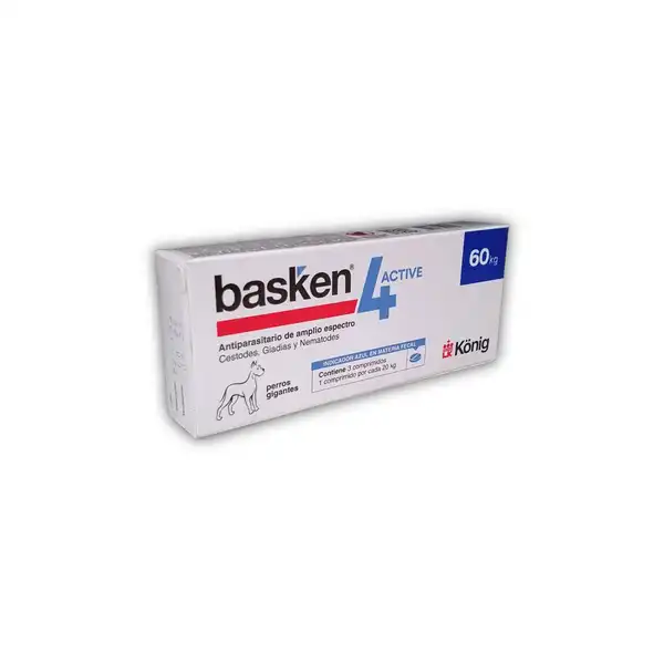 KONIG BASKEN 4 ACTIVE PERRO GIGANTE 60KG