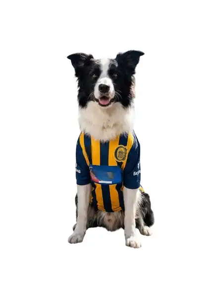 CANINE COUTURE CAMISETA DE FUTBOL ROSARIO CENTRAL XS 25CM