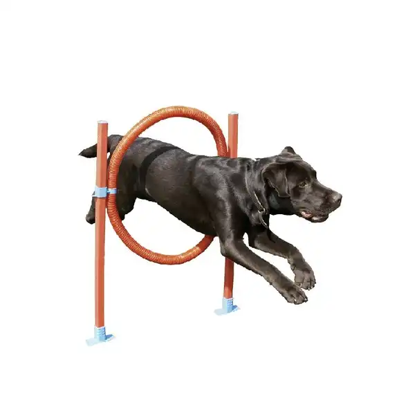 IMPORTADO AGILITY HOOP JUMP 