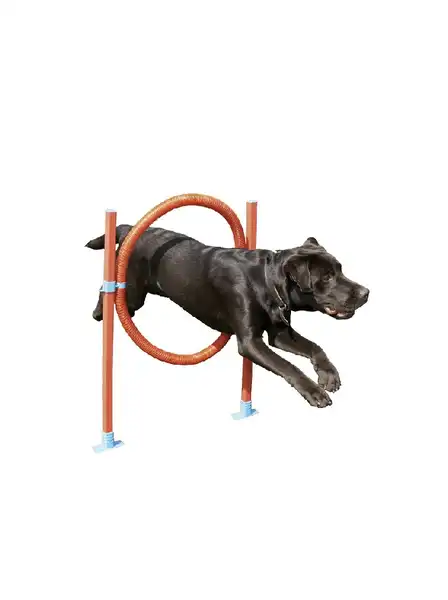 IMPORTADO AGILITY HOOP JUMP 