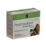 LAMAR PREDNISOLONA 20MG X 200 COMPRIMIDOS
