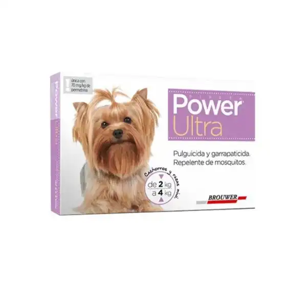 BROUWER POWER ULTRA DE 2 A 4KG 