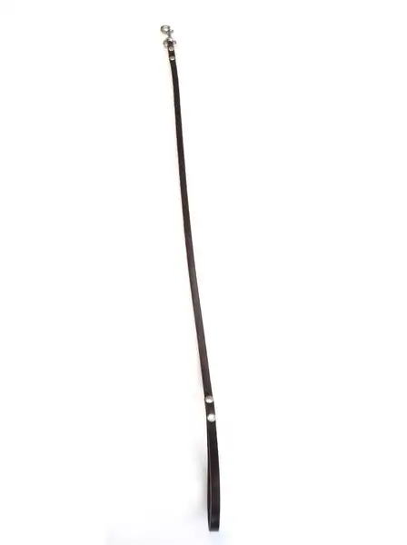 DM CORREA DE 1,2 CM