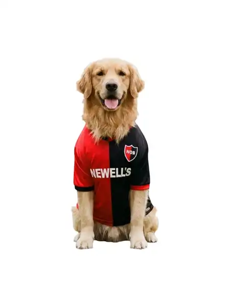 CANINE COUTURE CAMISETA DE FUTBOL NEWELLS XXL 70CM