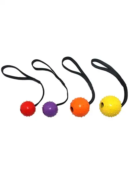 CAN CAT SPIKEY BALL ON A NYLON STRAP 6X30CM ER055 - CANCAT