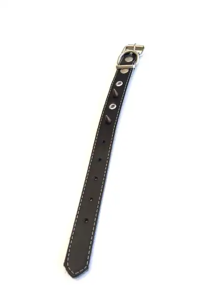 DM COLLAR CON PUAS 2.5CM X 40CM