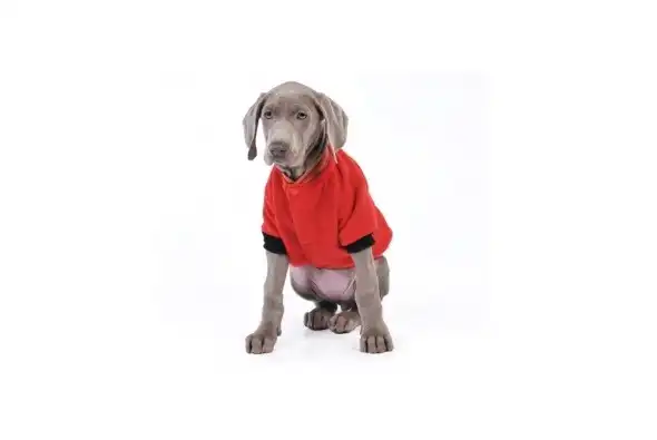 PER-ROS CAMPERA POLAR REVERSIBLE Nº11 75 CM. - 