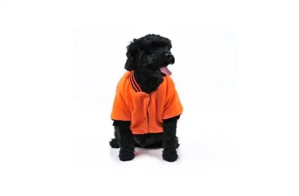 PER-ROS CAMPERA POLAR REVERSIBLE Nº2 30 CM. - 