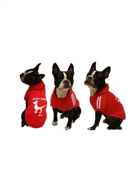 PER-ROS BUZO JUST DOG IT TALLE XL - 