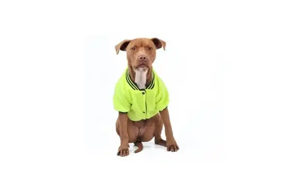 PER-ROS CAMPERA POLAR REVERSIBLE Nº9 65 CM. - 